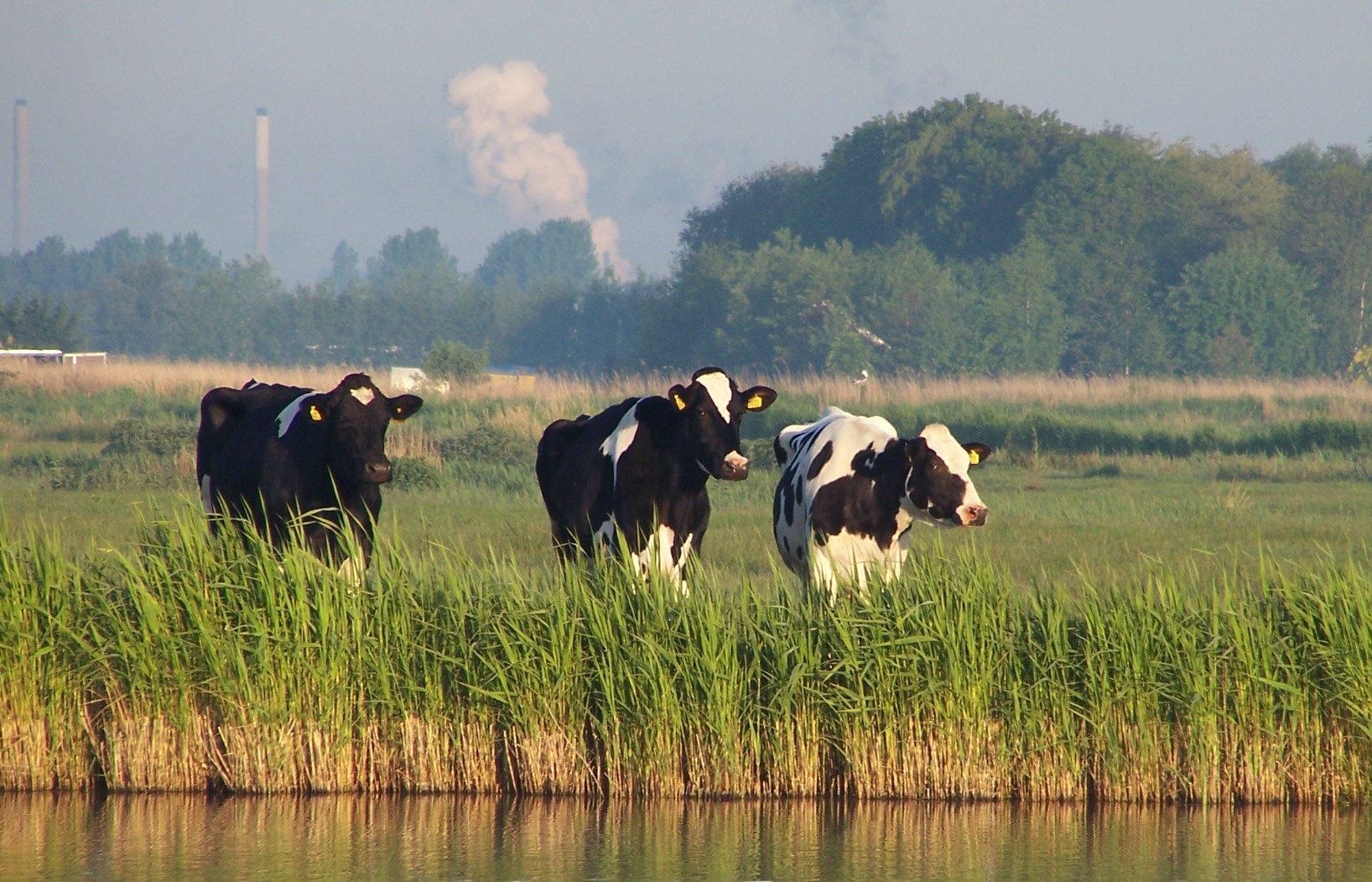 Ieder Zijn Deel In De Stikstofcrisis :: SP Noord-Holland